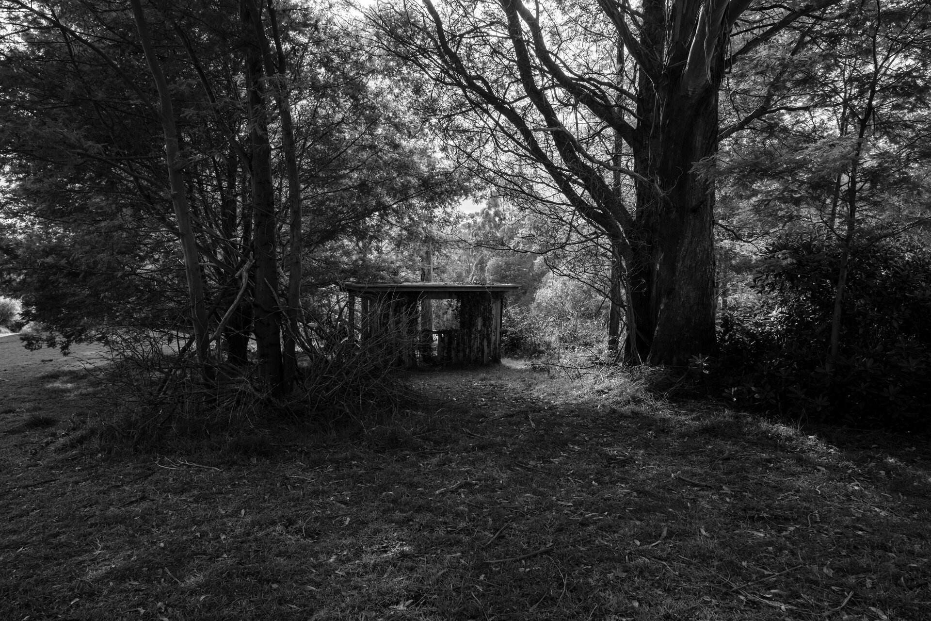 Thu, 20 Jun 2024 23:00:09 +1000