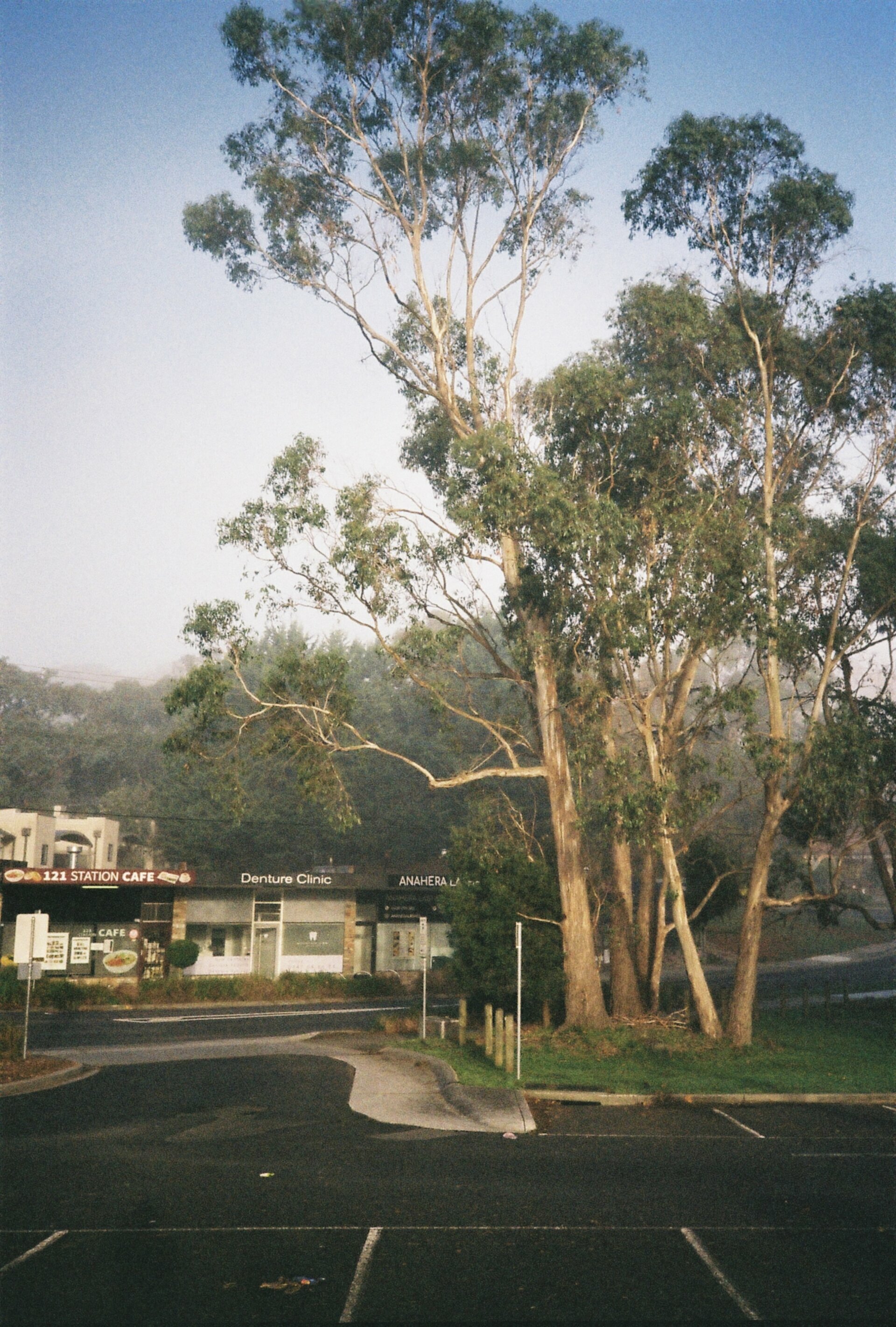 Fri, 21 Jun 2024 21:04:08 +1000