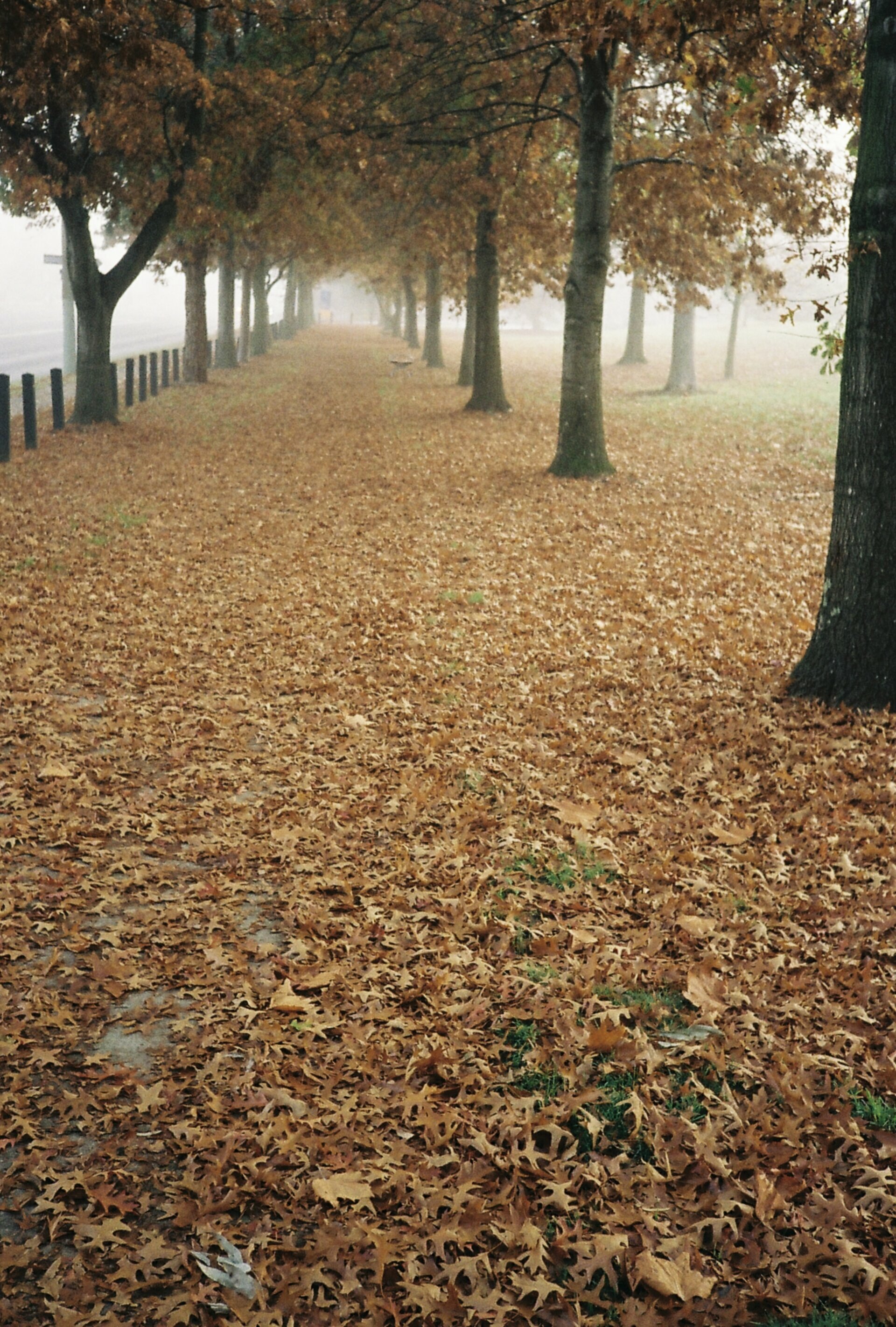 Fri, 21 Jun 2024 21:04:23 +1000