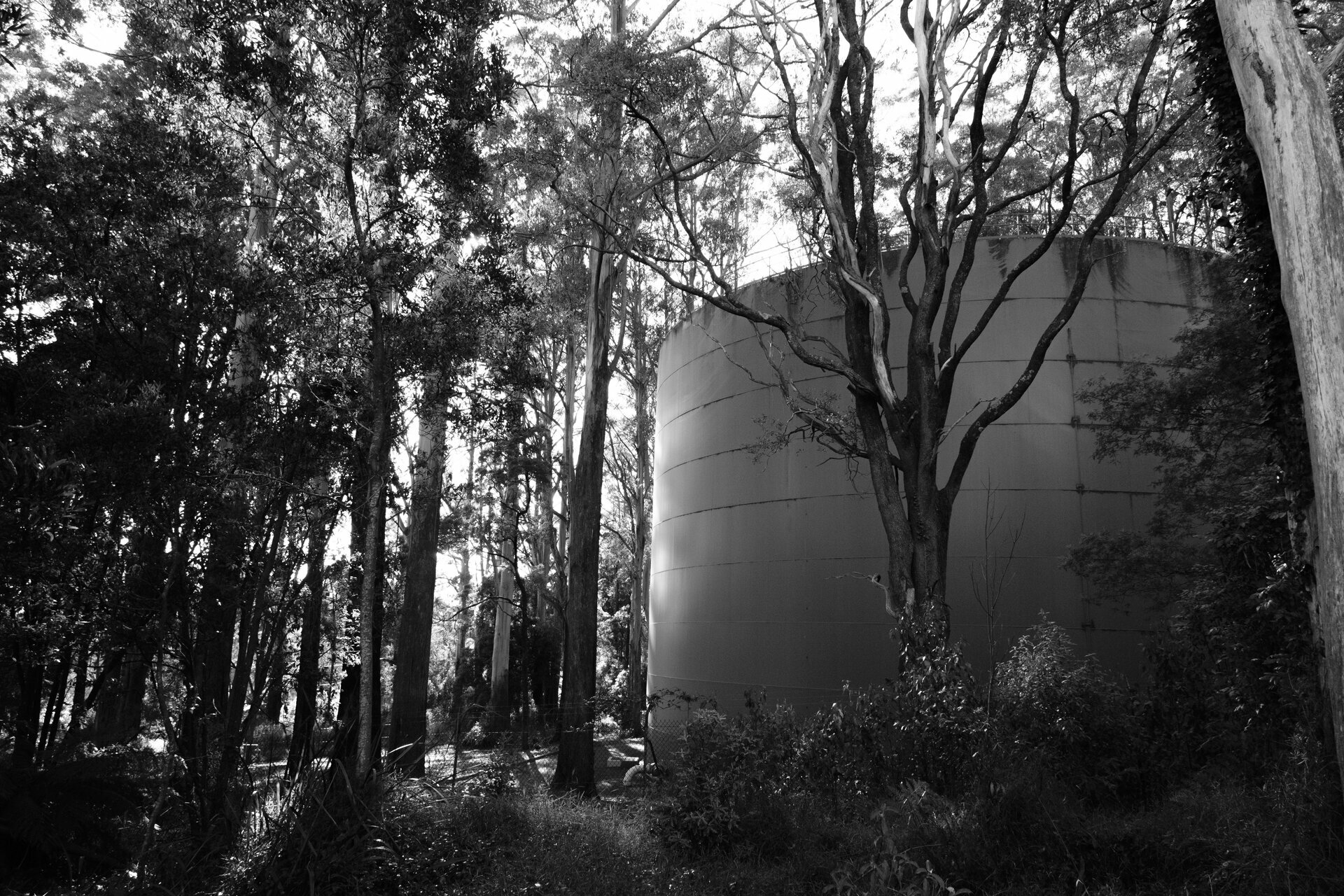 Tue, 09 Jul 2024 21:12:51 +1000