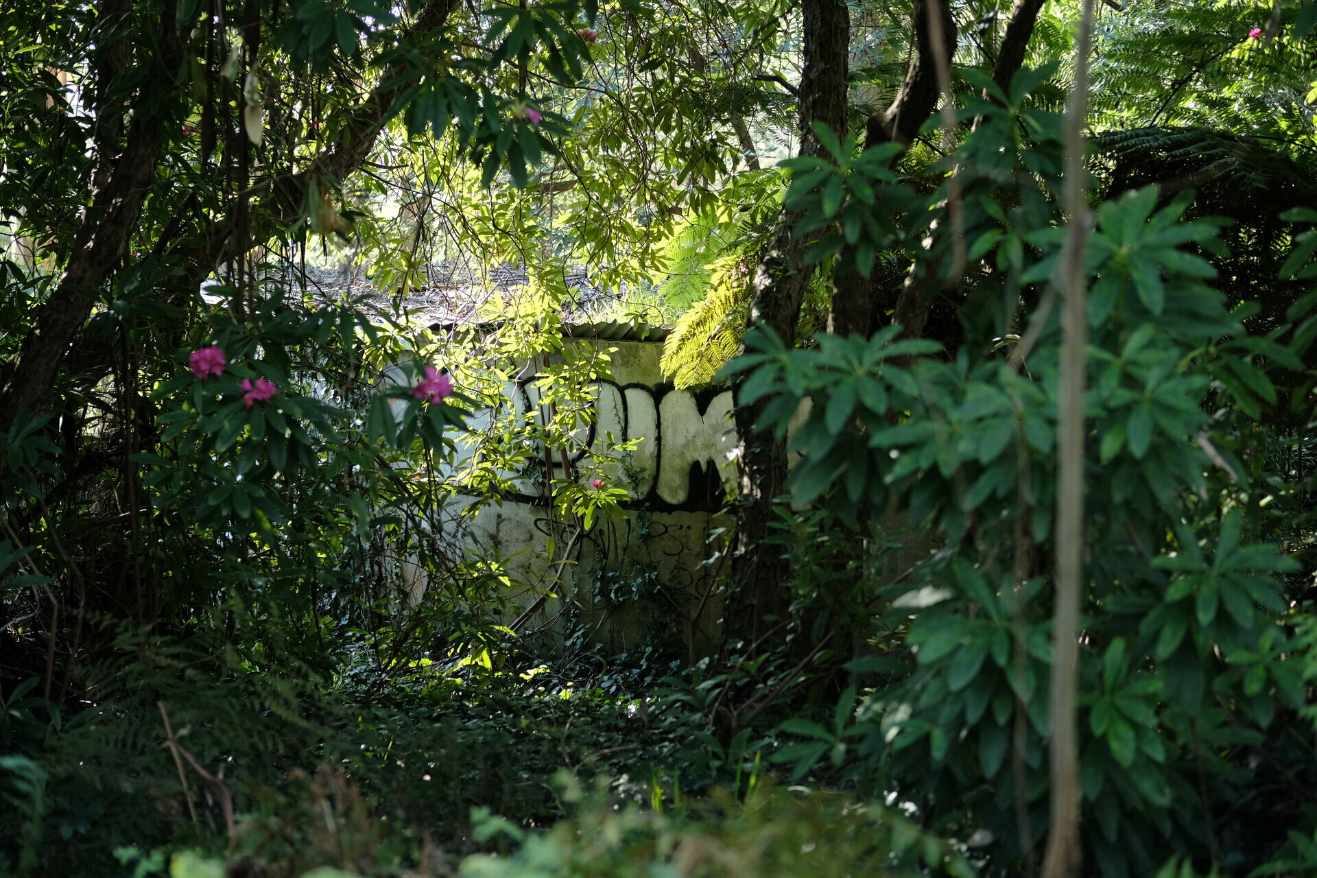 Mon, 05 Aug 2024 21:33:17 +1000