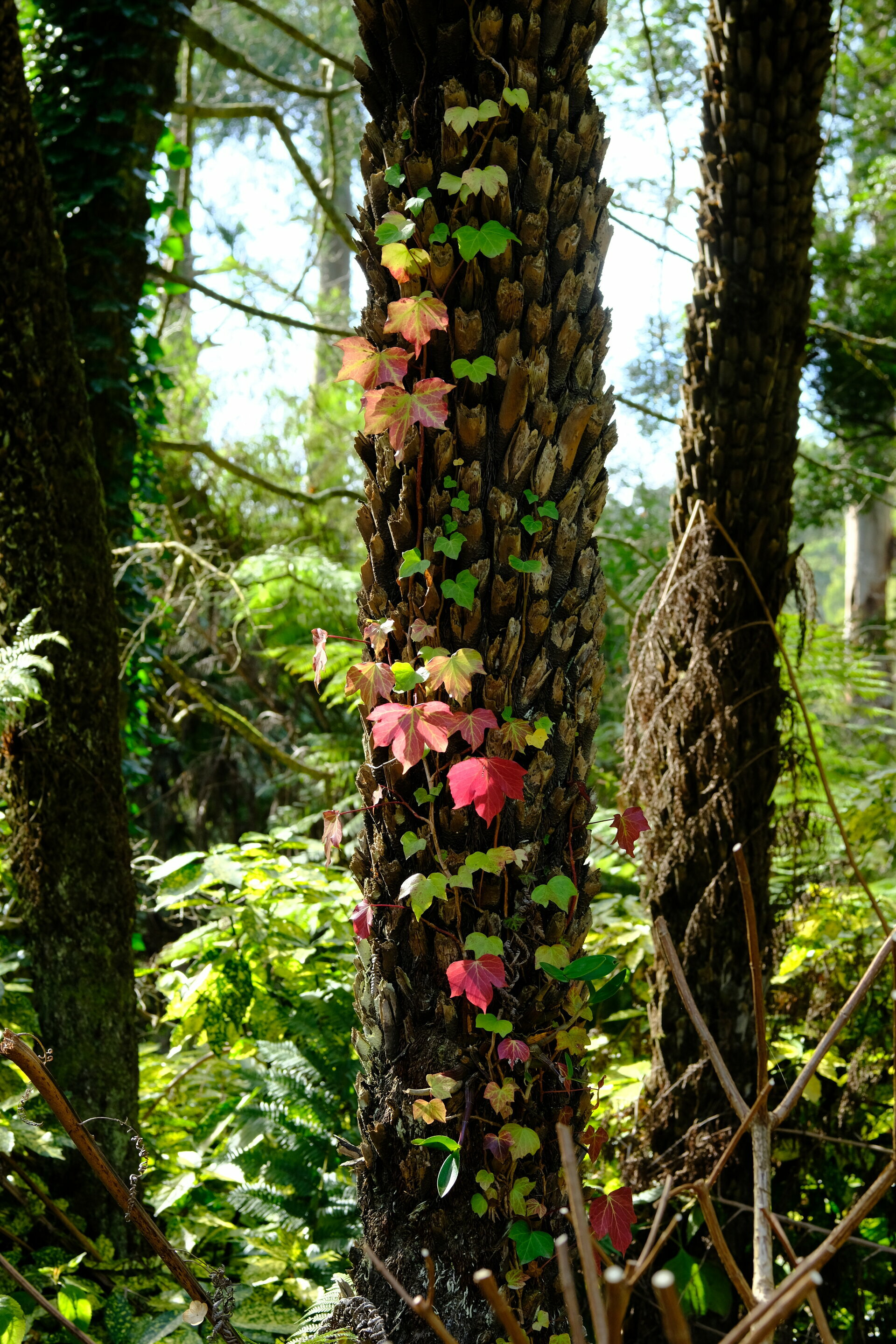 Mon, 05 Aug 2024 21:33:32 +1000