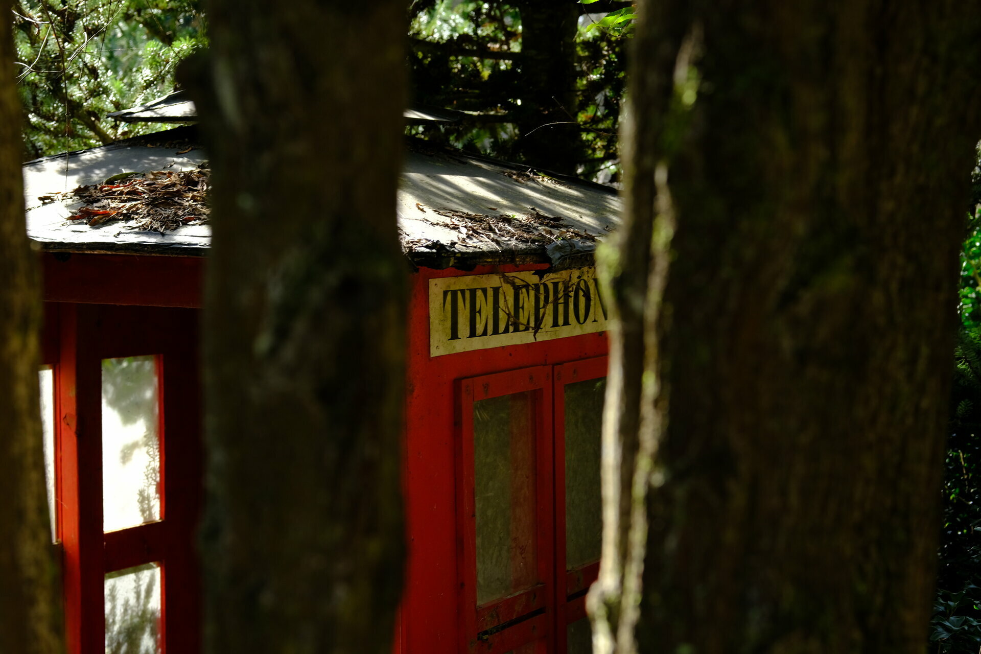 Mon, 05 Aug 2024 21:33:43 +1000