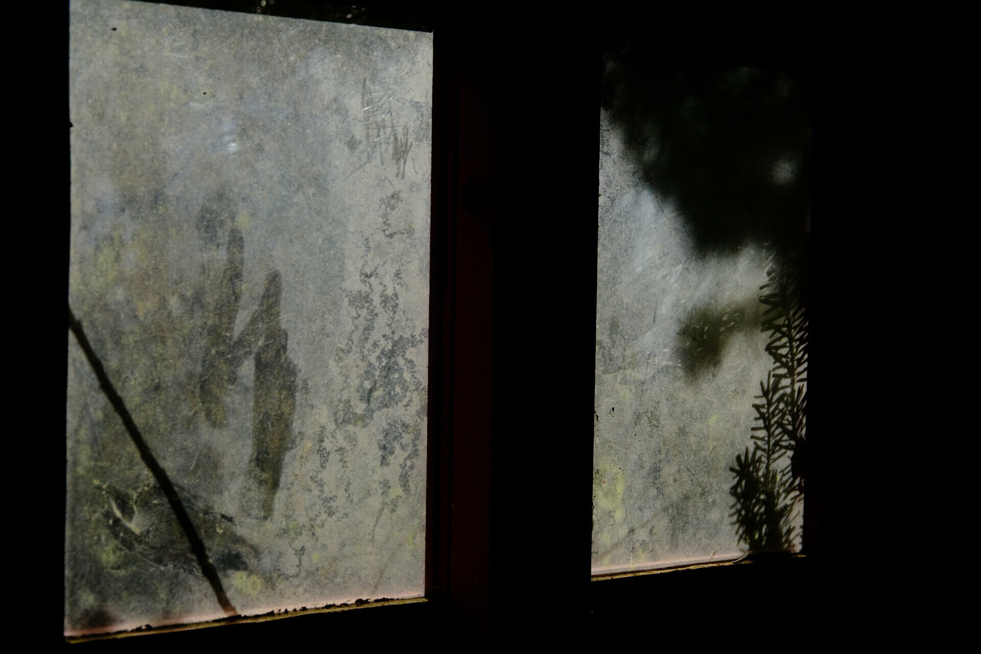 Mon, 05 Aug 2024 21:33:49 +1000