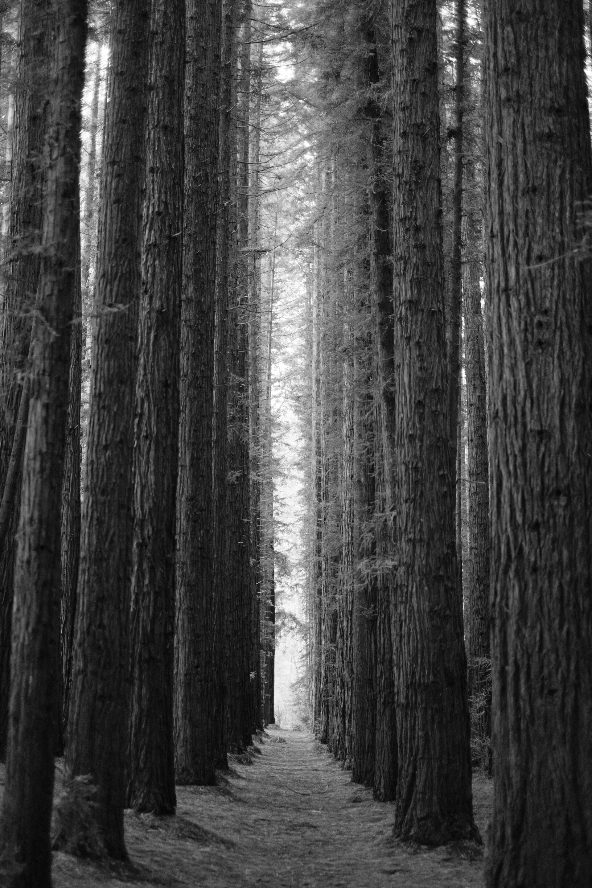 Thu, 20 Jun 2024 23:00:47 +1000