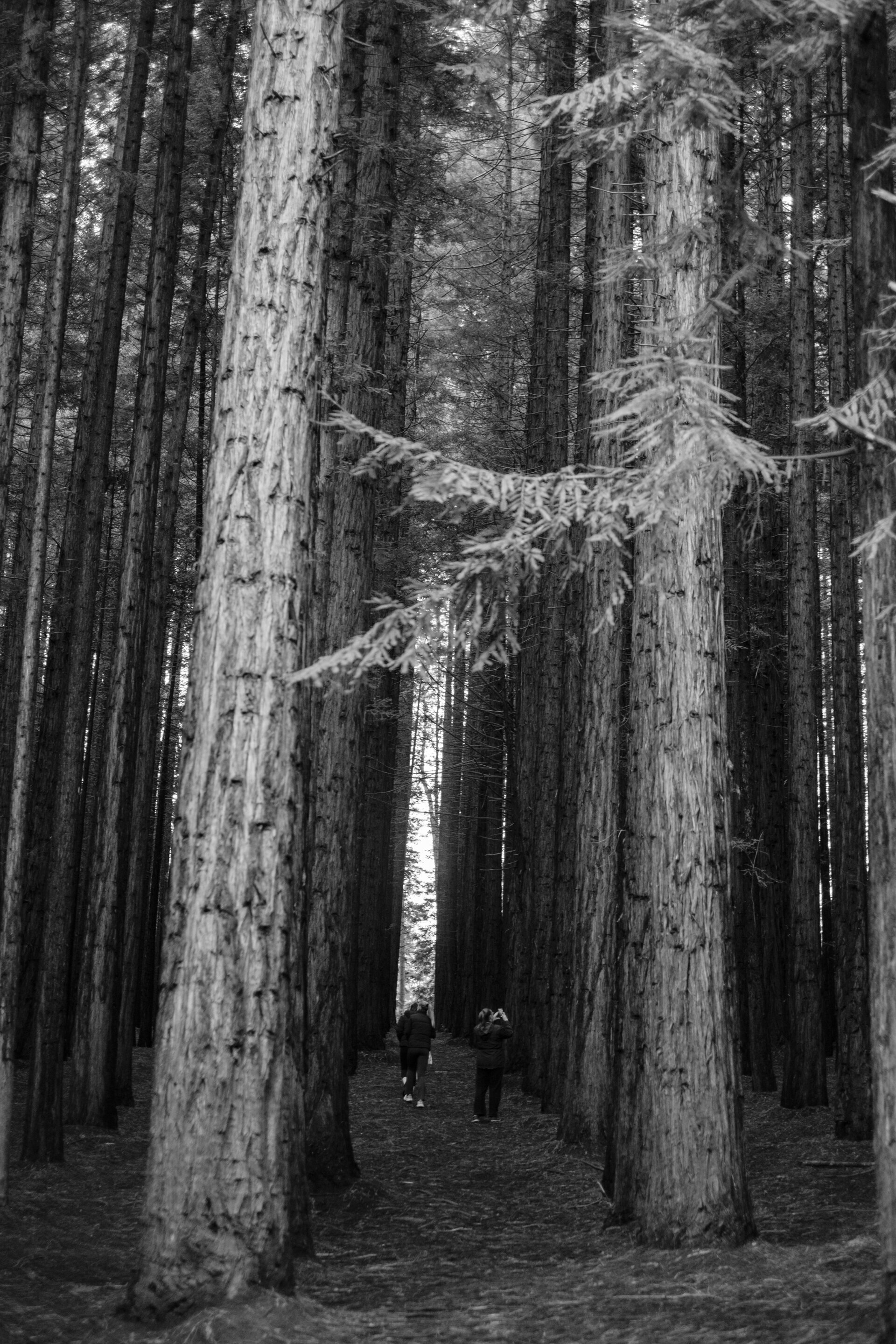 Thu, 20 Jun 2024 23:01:04 +1000